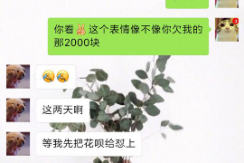 昭通融资清欠服务